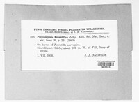 Image Associated With the Occurence
